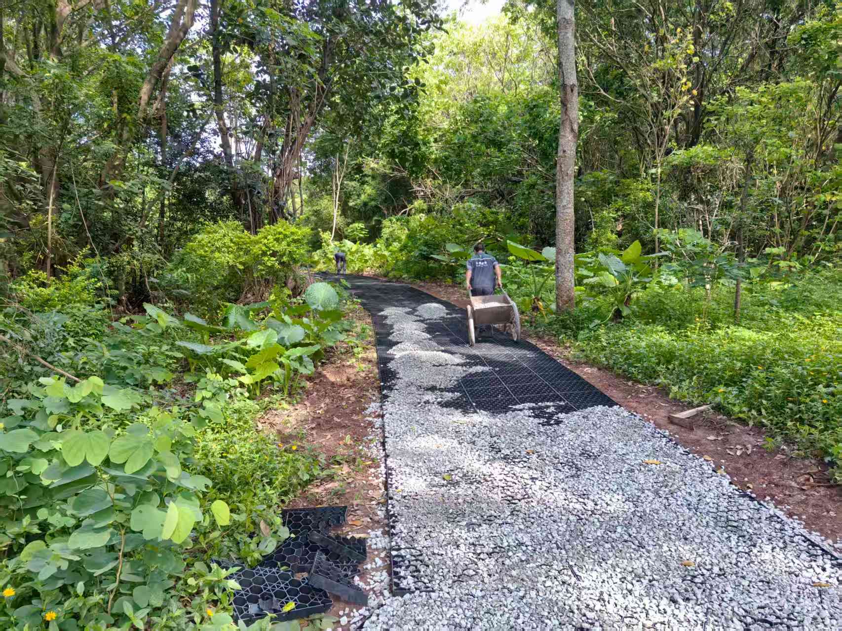 蓮花山公園項(xiàng)目